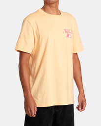 5 Desert Trail Tee  AVYZT01228 RVCA