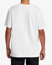 2 Global Inc Slub Tee White AVYZT01279 RVCA