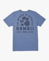 1 Hawaii Monstera Tee  AVYZT01360 RVCA
