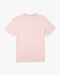 1 ANP Pocket Tee Purple AVYZT01396 RVCA