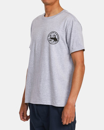 4 Tipsy Toucan T-Shirt Grey AVYZT01512 RVCA