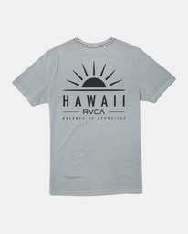 NEW DAY  AVYZT01550