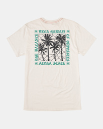 ALOHA FENCE SS  AVYZT01887