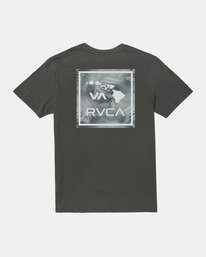 VA ATW SPRAY PALM  AVYZT01889