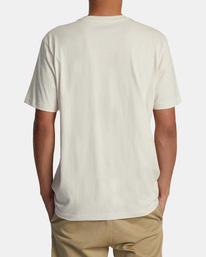 BIG RVCA SS  AVYZT02065