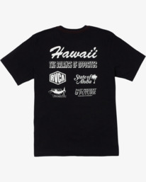 ISLAND FLYER SS  AVYZT02089