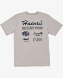 ISLAND FLYER SS  AVYZT02089