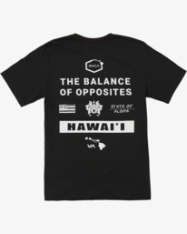 HAWAII ALL BRAND SS  AVYZT02090