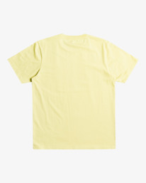 1 Jay Tree - T-shirt manches courtes pour Homme Vert C1SSRKRVP2 RVCA