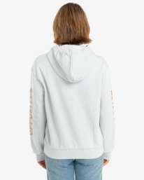 1 VA Palm - Hoodie for Women Gray EVJSF00102 RVCA