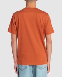 3 Small VA All The Way - Camiseta para Hombre Marron EVYZT00109 RVCA
