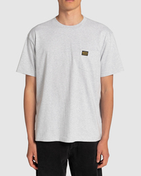 2 Americana Pocket - T-Shirt für Männer Grau EVYZT00127 RVCA
