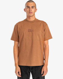 2 Balance Flock - Maglietta da Uomo Brown EVYZT00146 RVCA