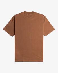 1 Chainmail - T-shirt pour Homme Marron EVYZT00147 RVCA