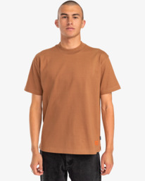 2 Chainmail - T-shirt pour Homme Marron EVYZT00147 RVCA