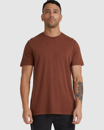 5 RVCA Washed 2022 - T-Shirt for Men Brown F1SSSMRVF2 RVCA