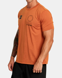3 VA Mark - T-shirt pour Homme Marron F4SSMFRVF2 RVCA