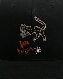 5 Petroglyph 2022 - Snapback Cap for Men Black F5CPRFRVF2 RVCA