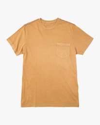 0 PTC 2 PIGMENT  H1KTJHRVP8 RVCA