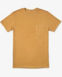 0 PTC II Pigment Tee Orange M437VRPT RVCA