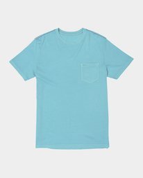 0 PTC II Pigment Tee White M437VRPT RVCA