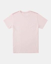 0 PTC II Pigment Tee Pink M437VRPT RVCA