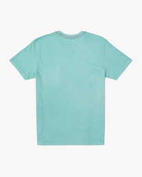 1 PTC II Pigment Tee Blue M437VRPT RVCA