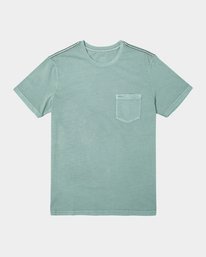0 PTC II Pigment Tee Green M437VRPT RVCA
