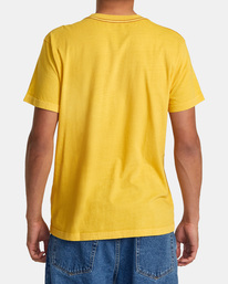 PTC 2 Pigment - T-Shirt for Men  M437VRPT