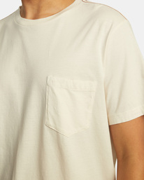 5 PTC II Pigment Tee White M437VRPT RVCA
