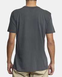 2 PTC 2 Pigment - T-Shirt für Männer Schwarz M437VRPT RVCA