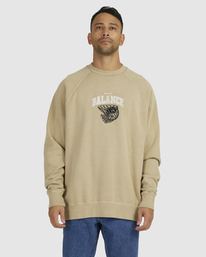 Hoops Raglan - Sweatshirt for Men  UVYFT00177
