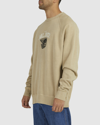 4 Hoops Raglan - Sweatshirt for Men Beige UVYFT00177 RVCA