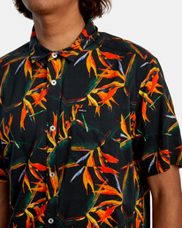 3 Byrd Of Paradise - Shirt for Men Black Z1SHRHRVF1 RVCA