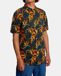 5 Byrd Of Paradise - Shirt for Men Black Z1SHRHRVF1 RVCA