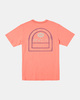 VINTAGE SALMON (mjz0)