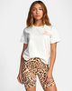 LIGHT BROWN (lbr)