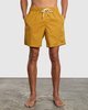 GOLDEN ROD (gdr)