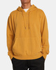 PTC HOODIE  AVYFT00339