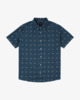 THATLL DO PRINT SS  AVYWT00509