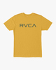 GOLDEN ROD (gdr)